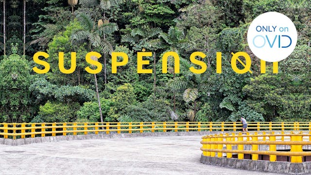 Suspension