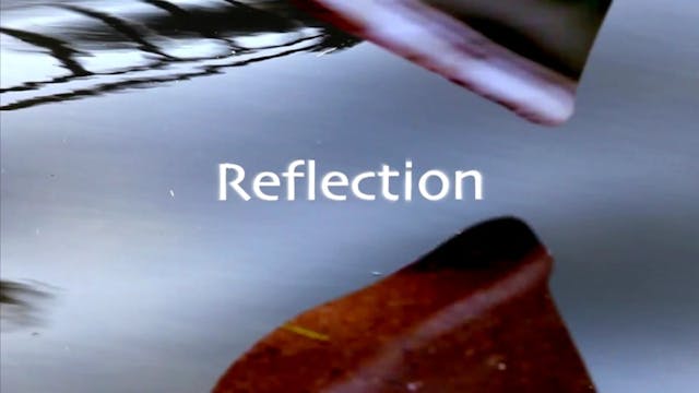 Reflection