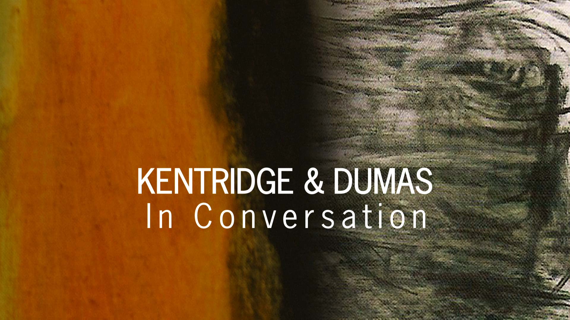 Kentridge and Dumas in Conversation - OVID.tv