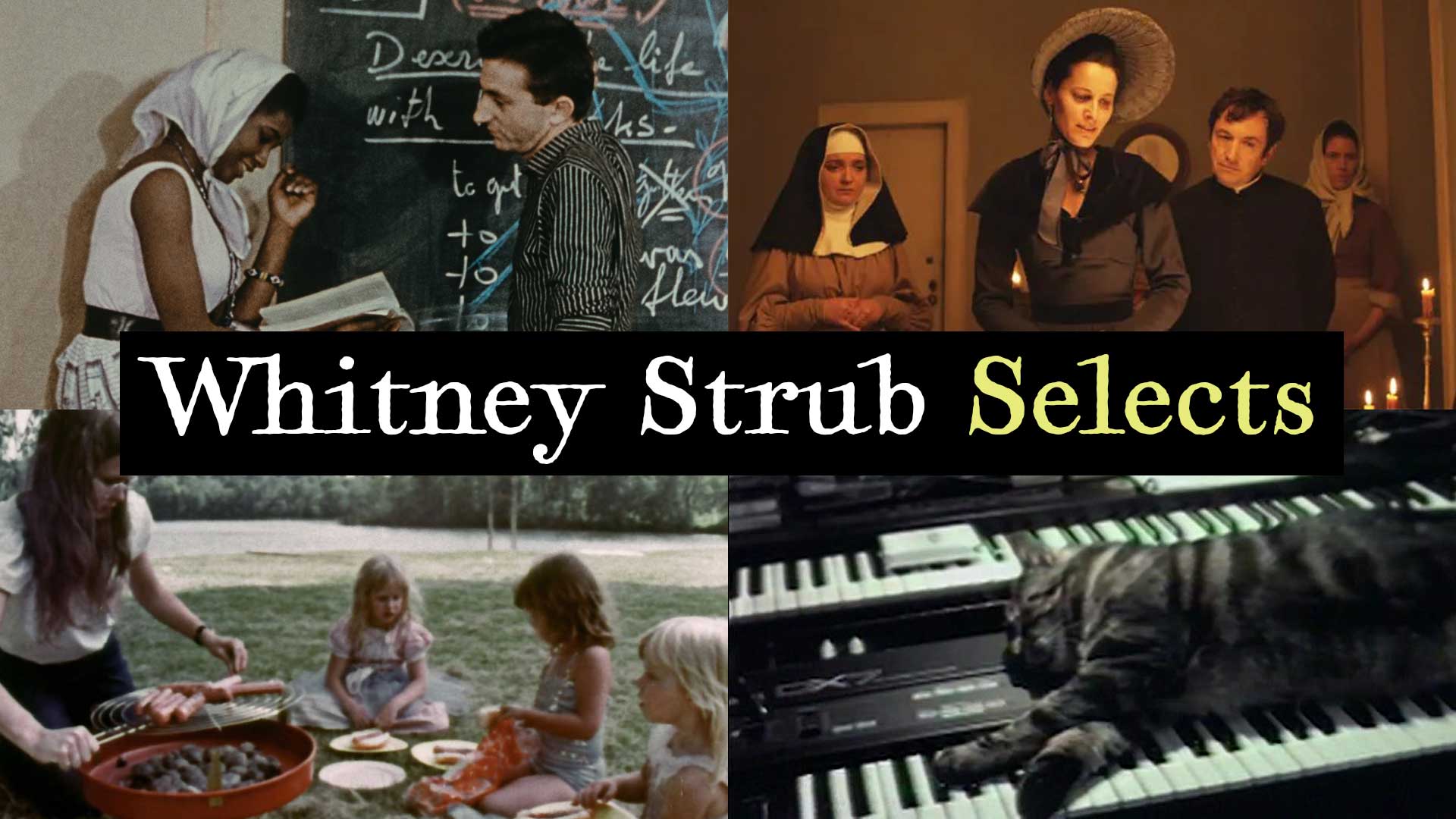 Whitney Strub Selects