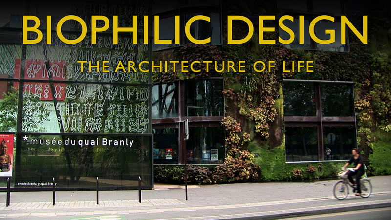 Biophilic Design