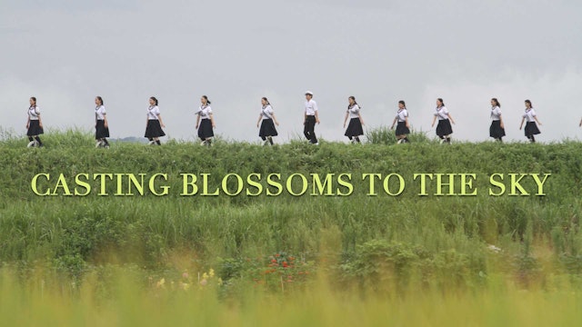 Casting Blossoms to the Sky