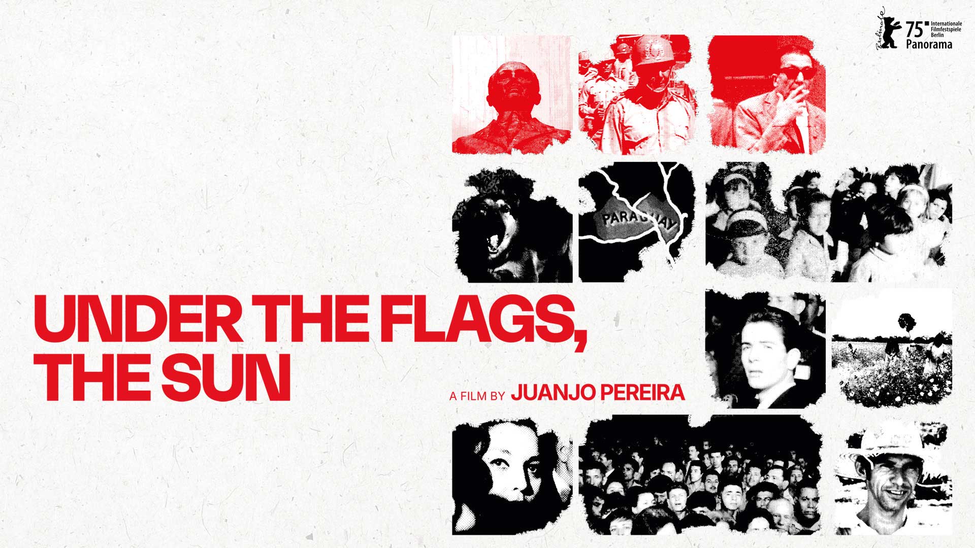 Under the Flags, the Sun