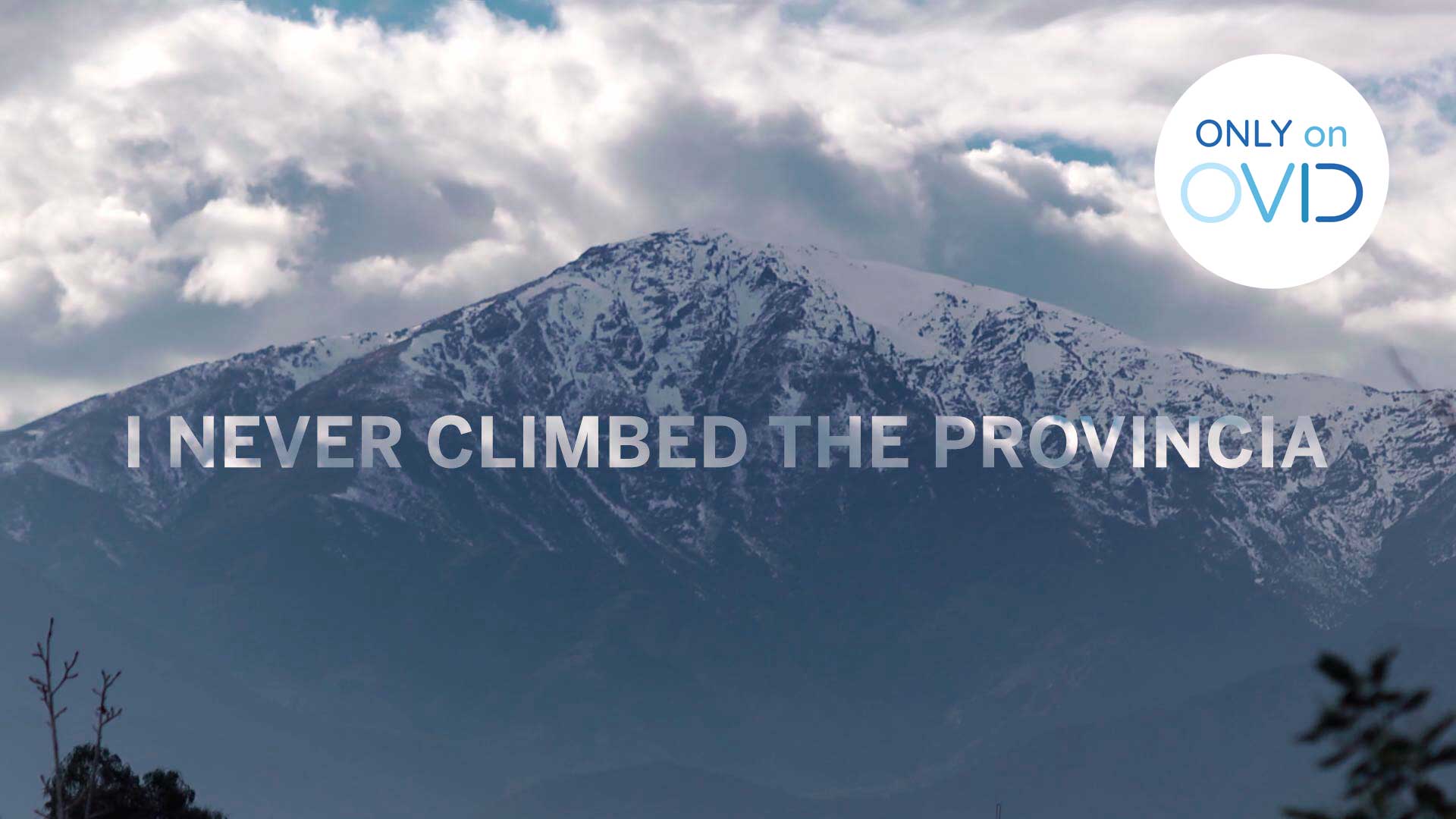 I Never Climbed the Provincia