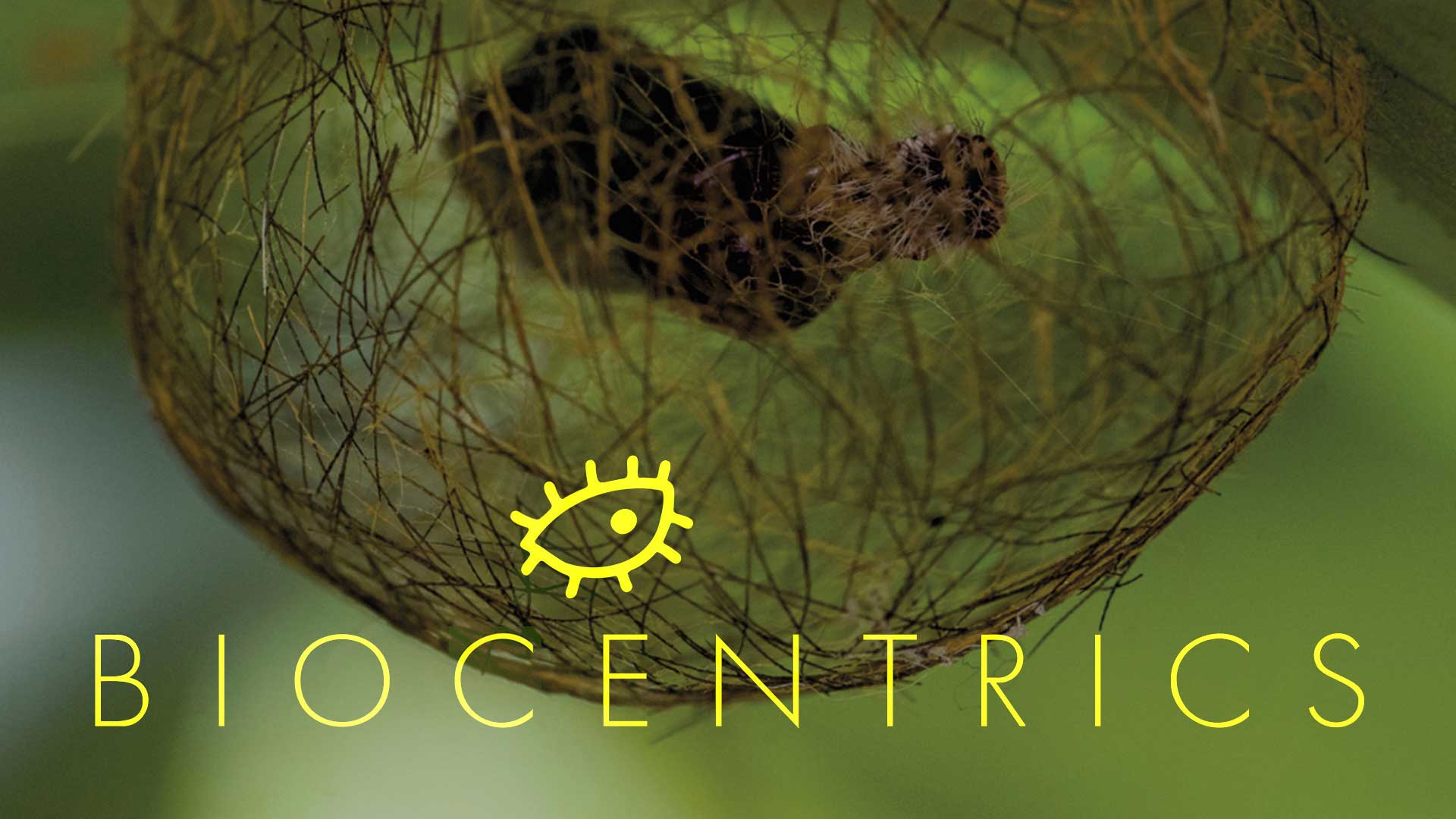 Biocentrics