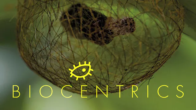 Biocentrics