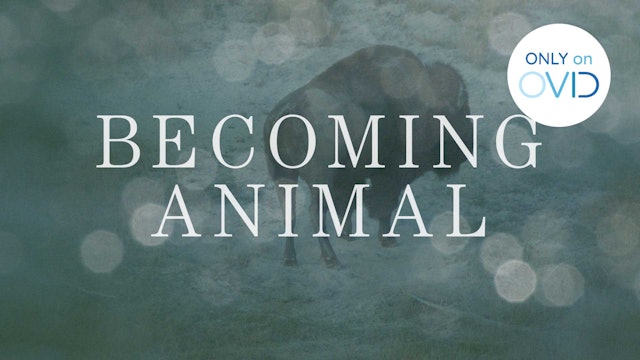 Becoming Animal