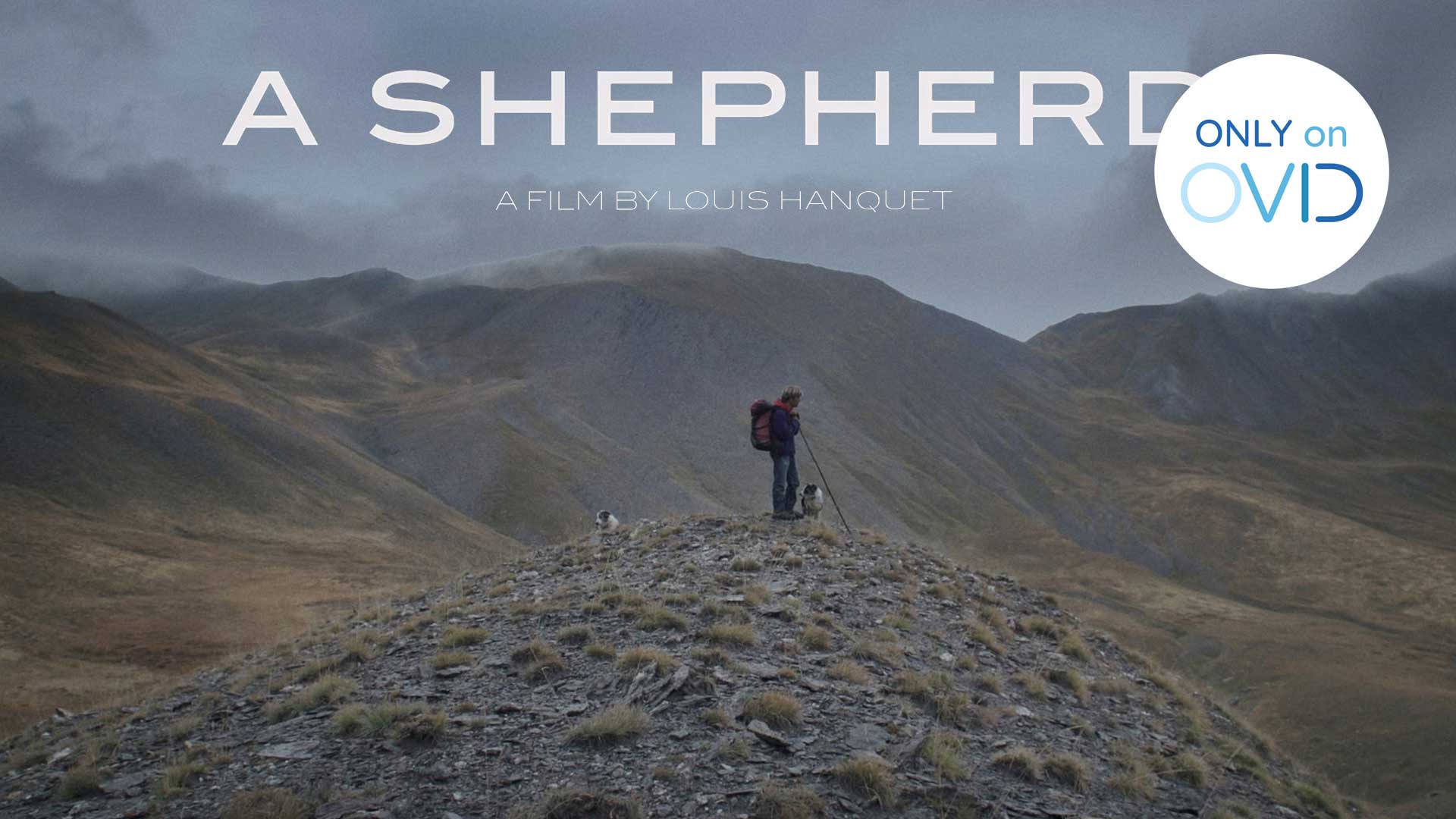 A Shepherd