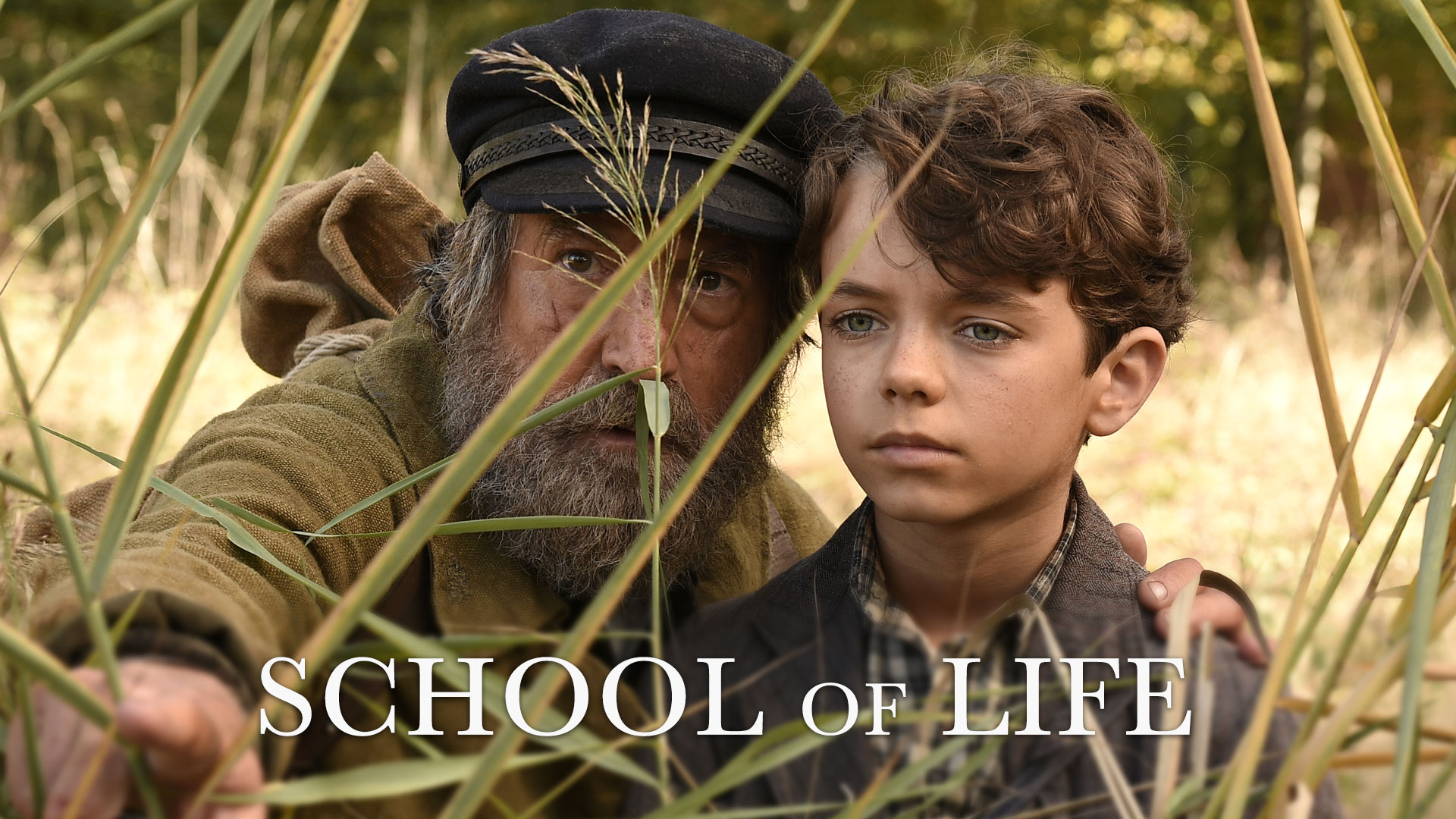 School of Life