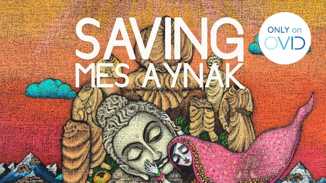 Saving Mes Aynak