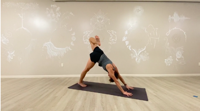 Vinyasa | Laura 