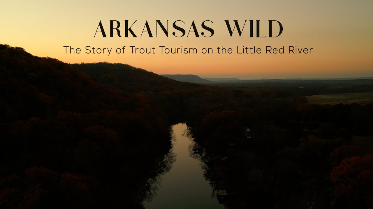 Arkansas Wild