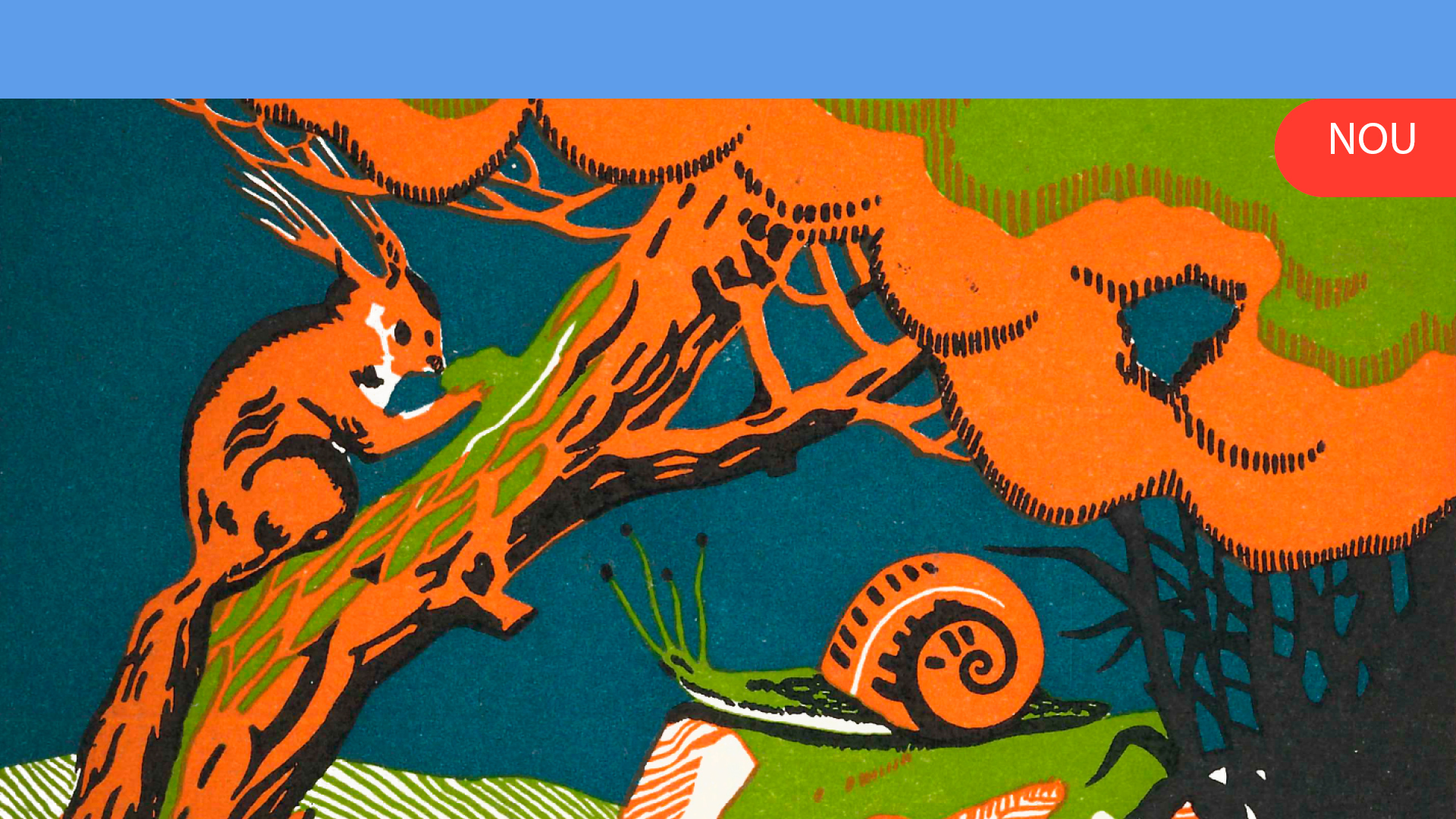 Cuques de llum - Cor Petits i Cor Mitjans de l’Orfeó Català