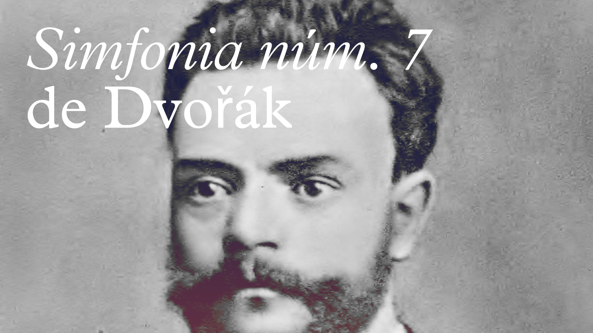 per Maria José Anglès