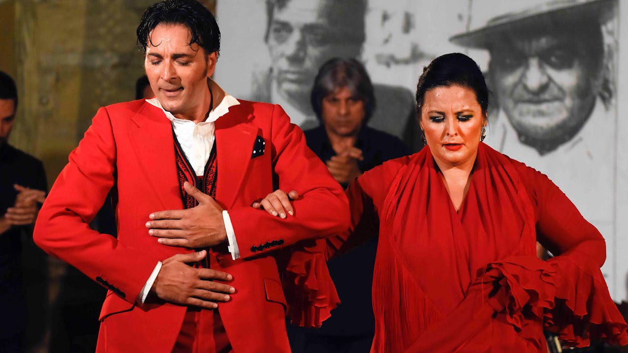 Flamenco: the Land Is Still Fertile-All 4 Epi-UNIV