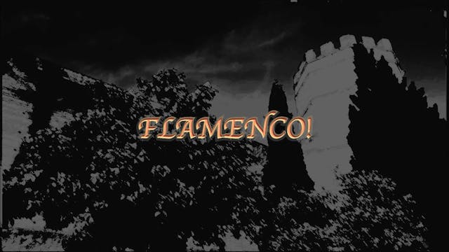 Flamenco:  the Land Is Still Fertile - EPI #4