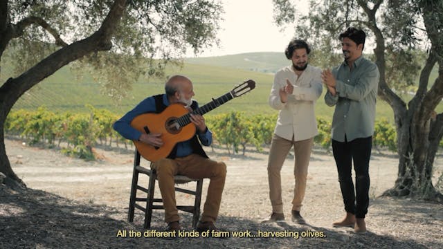 Flamenco:  the Land Is Still Fertile - original