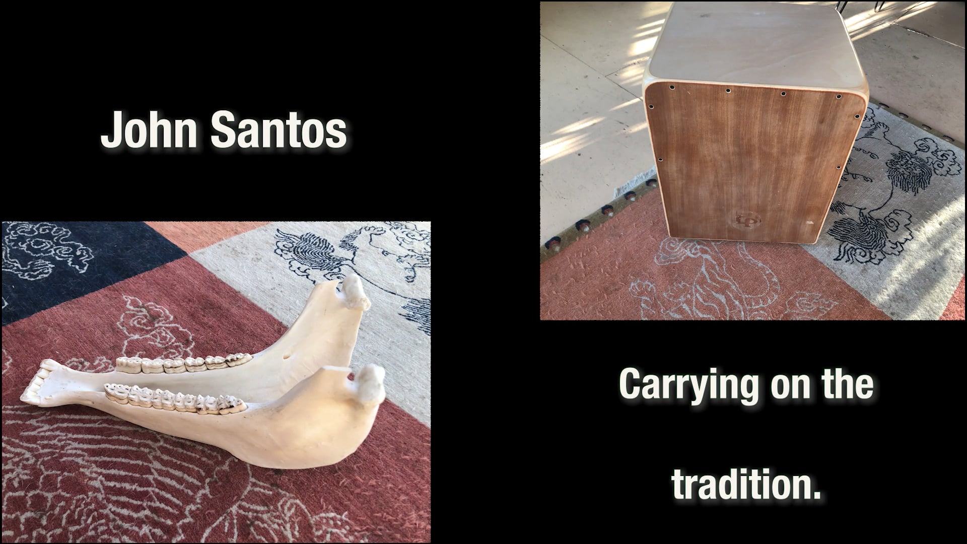 Palomino Productions (Eve A. Ma media)