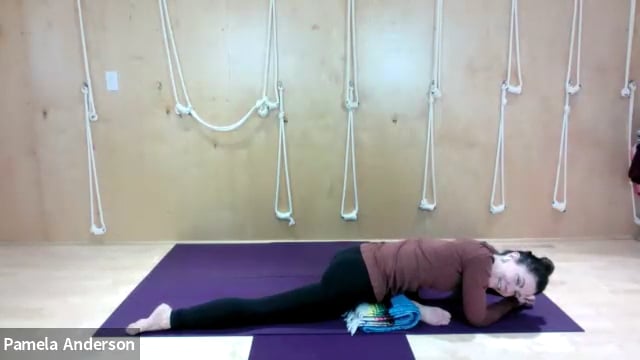 Opening the Hips, Groins and Glutes |  All Levels | 12.19.25