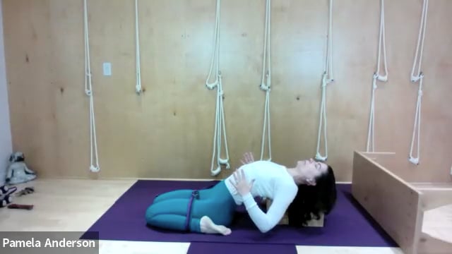 Opening For Forward Bends  | Gentle | 10.29.24