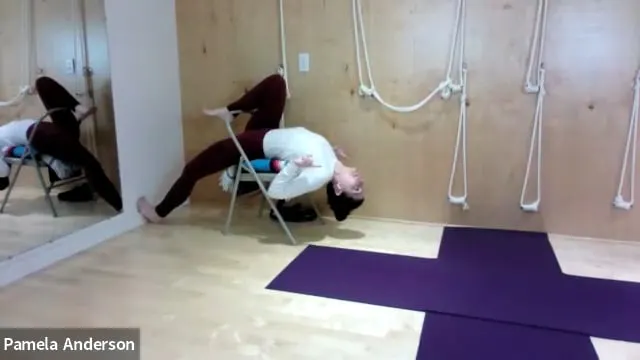 Leg, Hip and Mid Back Opening - Back ...