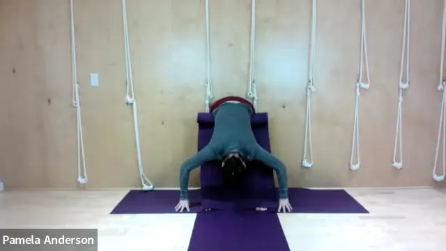 Full Body Opening for Abdominals *Lea...