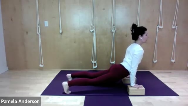 The Path to Upward Facing Dog [Backbends] | Gentle | 2.18.25