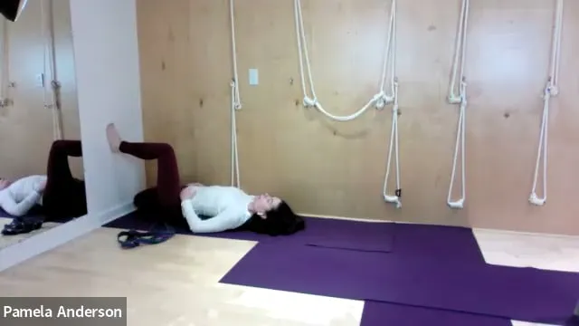 Leg, Hip and Mid Back Opening - Back ...