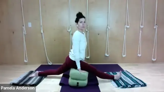 The Path to Splits | All Levels | 4.7.26