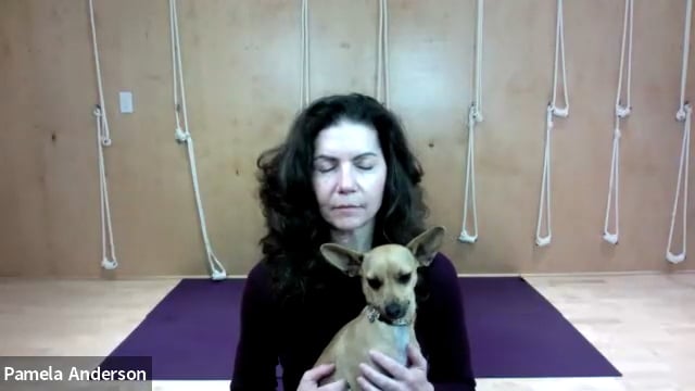 Where Is Awareness | 10.13.25