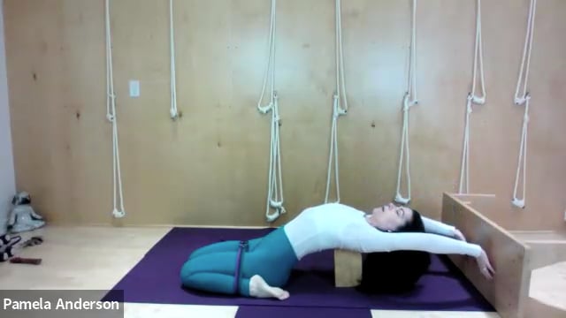 Opening For Forward Bends  | All Levels | 10.29.24