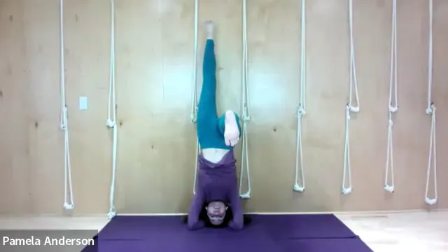 Opening the Chest Box &  Head Stand D...