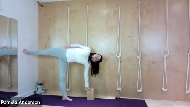 Standing Poses Using The Wall | Gentle | 12.3.24