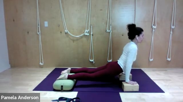 Open Armpits & Long Spine | Gentle | 5.20.25