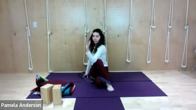 Seated Twisting | All Levels | 4.21.26