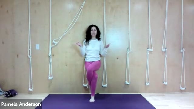 Compacting The Legs (Barber Pole) | All Levels | 1.7.25