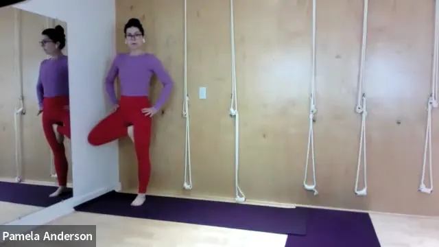 Opening the Groins - Standing Poses |...