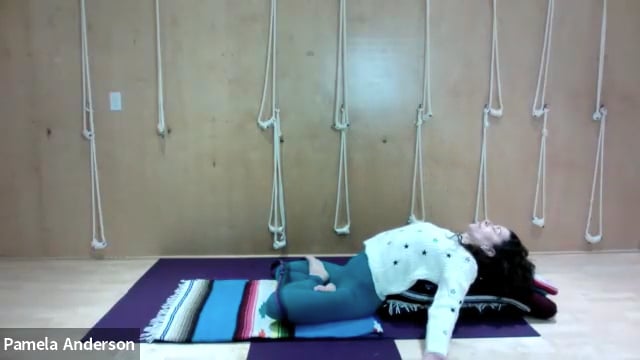 Opening The Hips & Groins (Forward & Backward Bends) | All Levels | 1.14.25