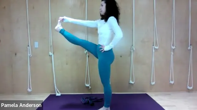 The Planes of the Body | All Levels |...