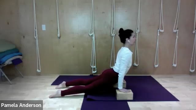 The Path to Upward Facing Dog [Backbends] | All Levels | 2.18.25