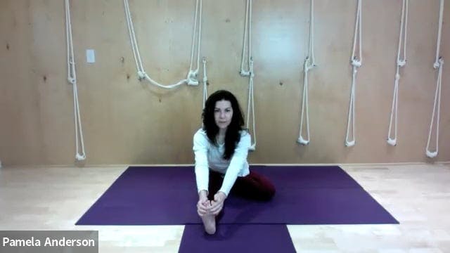 Lengthen & Twist - Leg Focus | All Le...