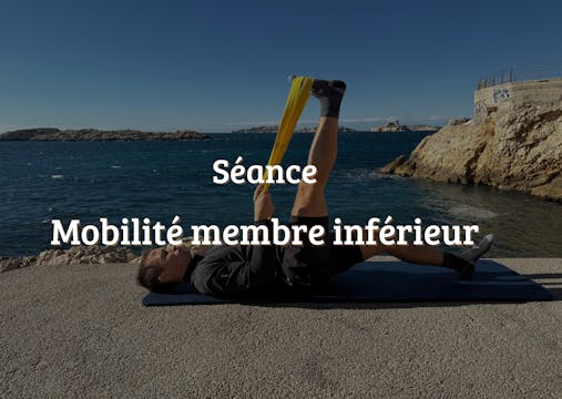 Mobilité membre inférieur ( ischio , ...