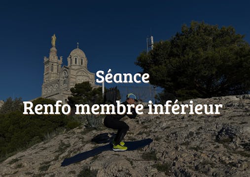 Renfo membre inférieur ( mollet quad ...