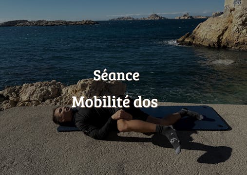 Mobilité dos ( cervicale, thoracique ...