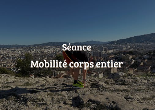 Seance mobilité corps entier ( etirem...