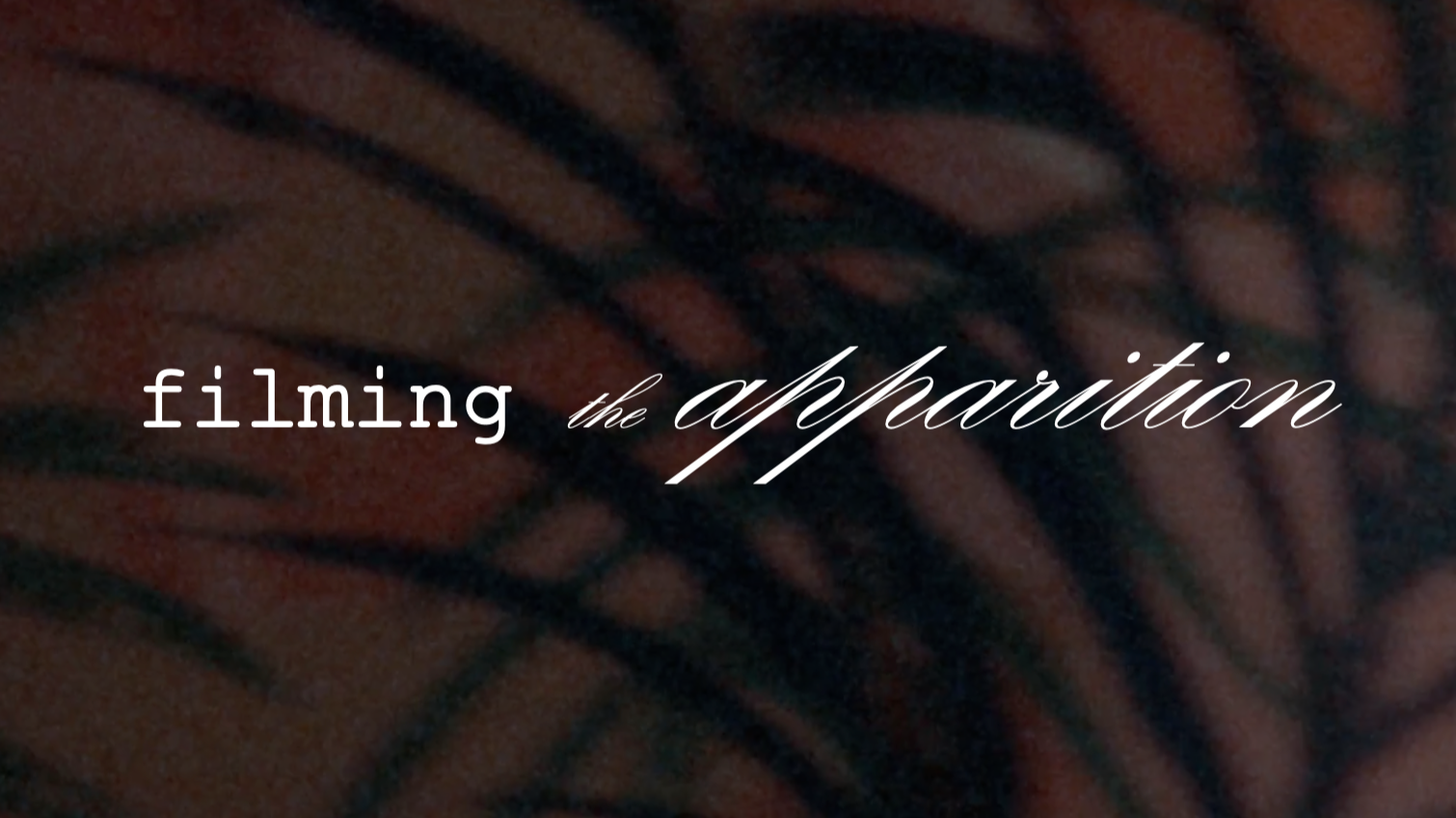 FILMING THE APPARITION