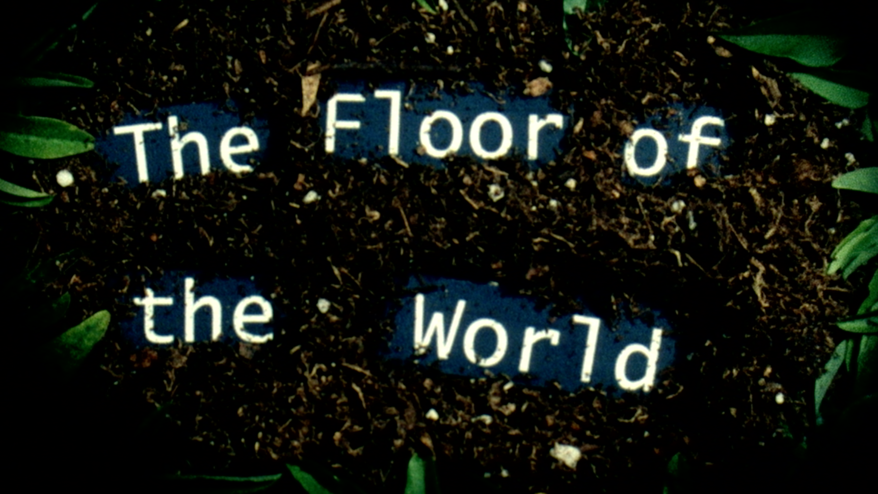 THE FLOOR OF THE WORLD