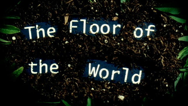 THE FLOOR OF THE WORLD