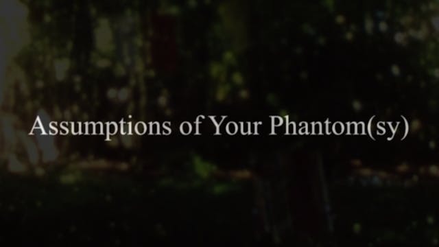 ASSUMPTIONS OF YOUR PHANTOM(SY)
