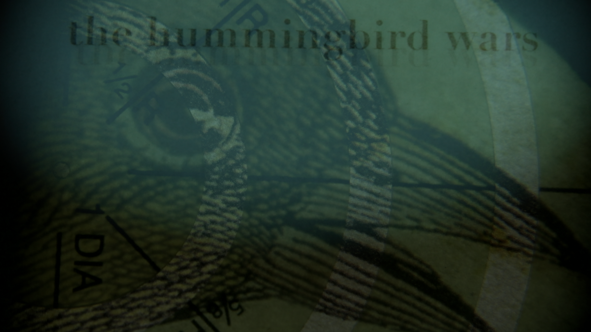 THE HUMMINGBIRD WARS